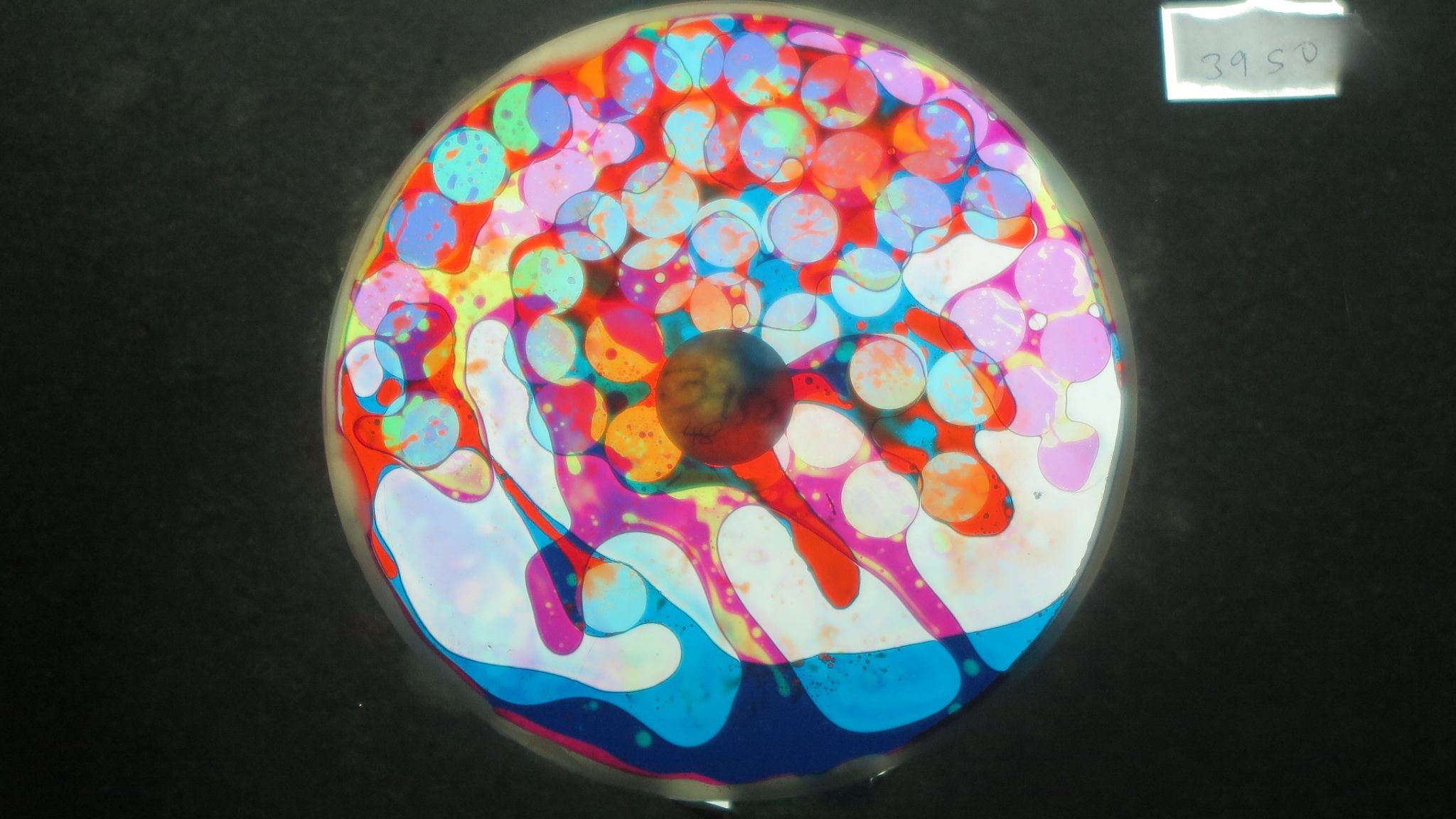 BV3950 bubble vision oil wheel